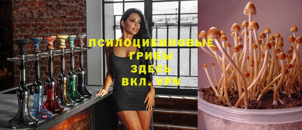 твердый Богородск