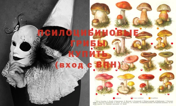 таблы Богородицк
